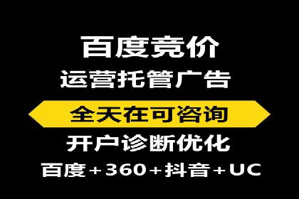 落地页在SEM优化中的重要性及成功案例